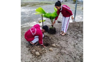 PENGURUS OSIS MELAKSANAKAN PENGHIJAUAN DI LINGKUNGAN SEKOLAH